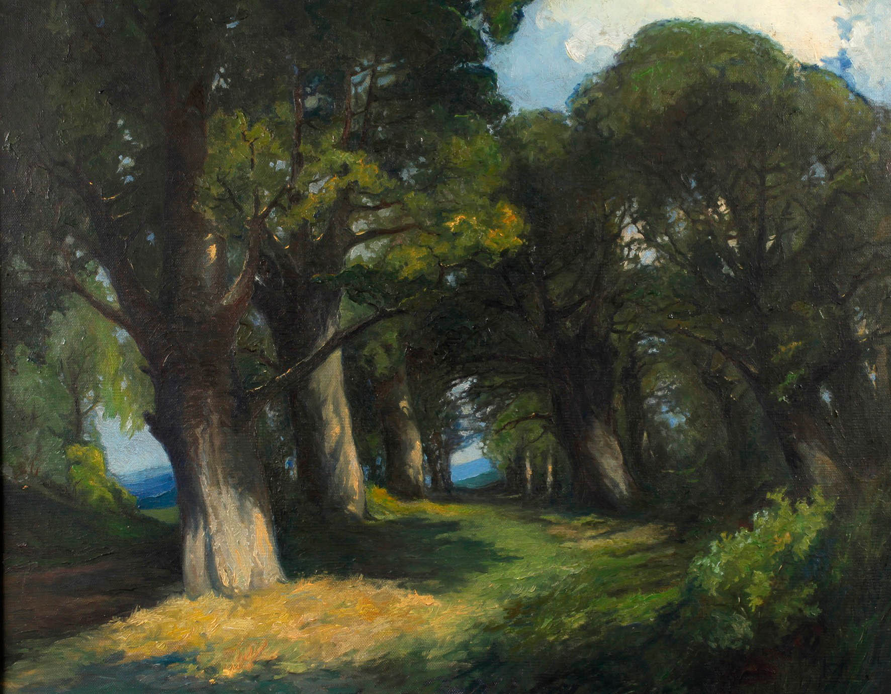 Joh. Meyer, Sonniger Waldweg