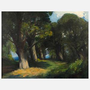 Joh. Meyer, Sonniger Waldweg