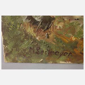 M. Sedlmeyer, Rheinlandschaft bei Kaub