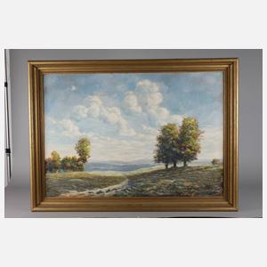 Hannes Loos, attr., Sommerlandschaft