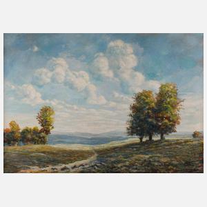 Hannes Loos, attr., Sommerlandschaft