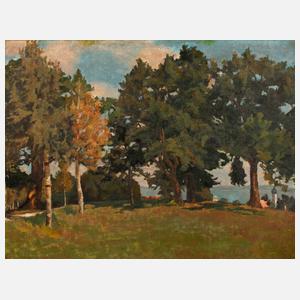 Sommerlandschaft mit See