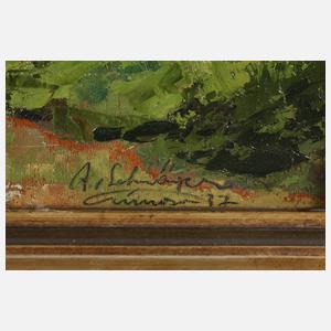 Alfons Schwäger-Crimoso, Moschee im Schlosspark Schwetzingen