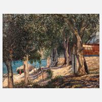Mediterrane Landschaft111