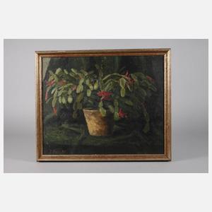 Rudolf Fabian, Kakteenstillleben