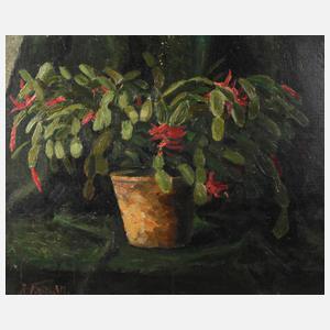 Rudolf Fabian, Kakteenstillleben