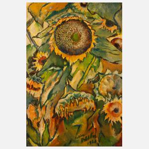 Prof. Julius Hüther, Sonnenblumen