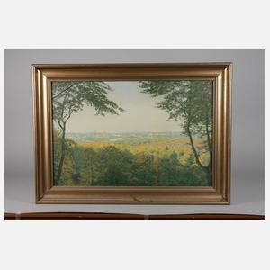 Georg Altheim, Darmstadtansicht