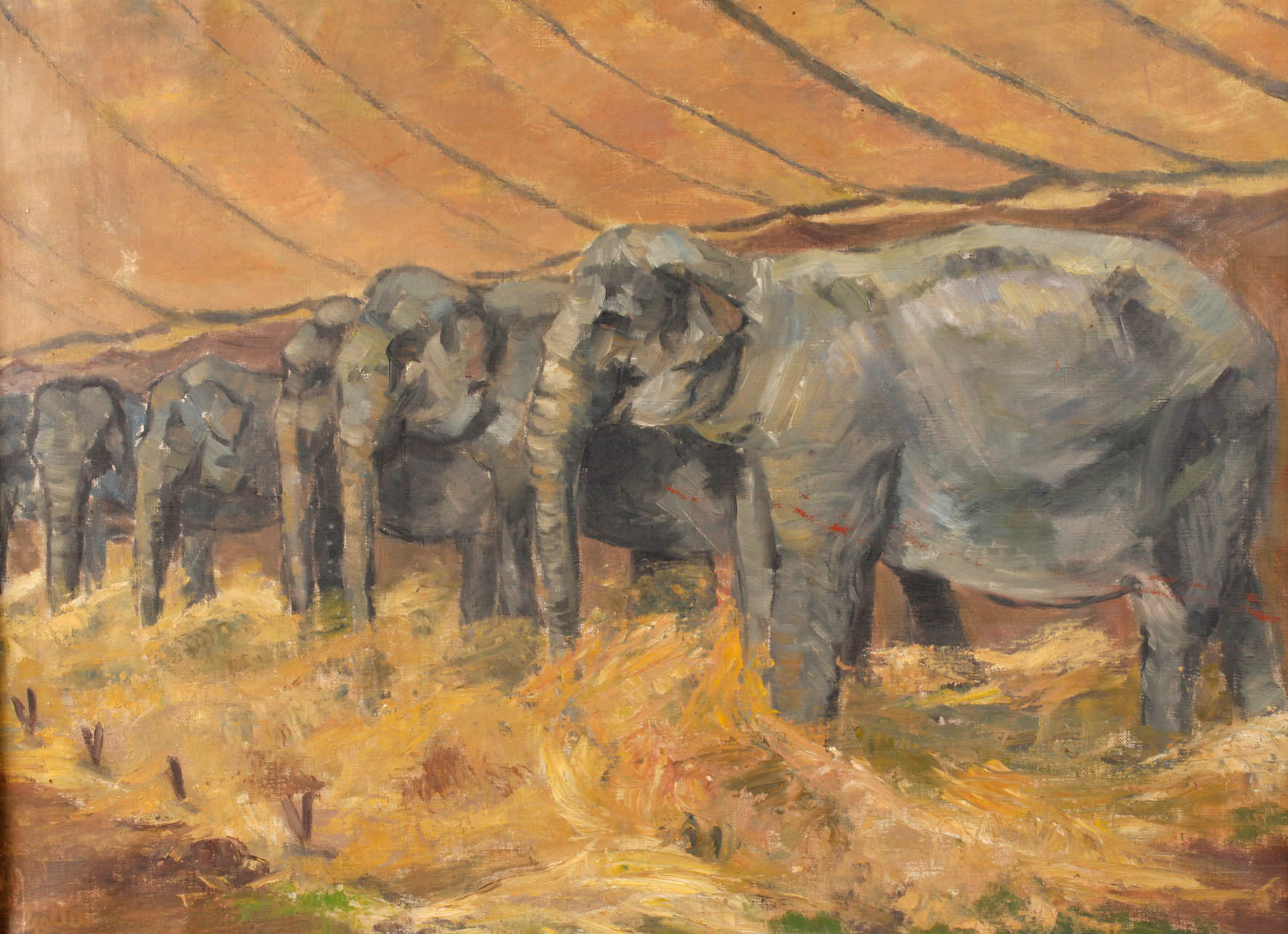 Otto Goller, Elefanten in der Tierschau