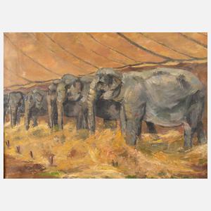 Otto Goller, Elefanten in der Tierschau