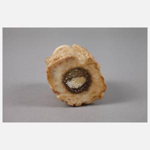 Stockgriff Hirschhorn