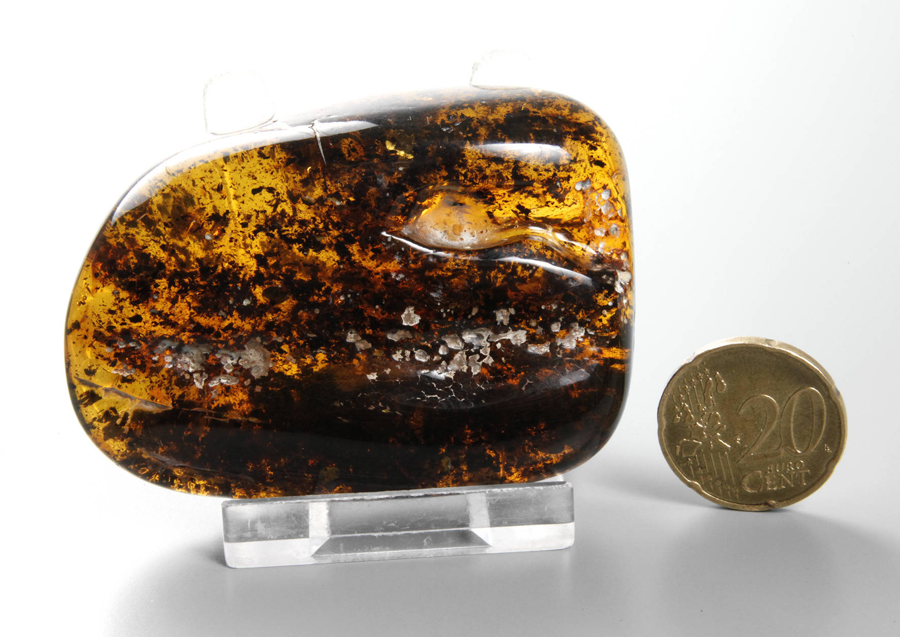 Baltischer Bernstein