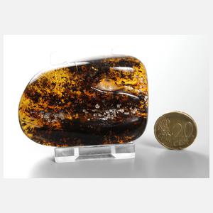 Baltischer Bernstein