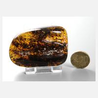 Baltischer Bernstein111