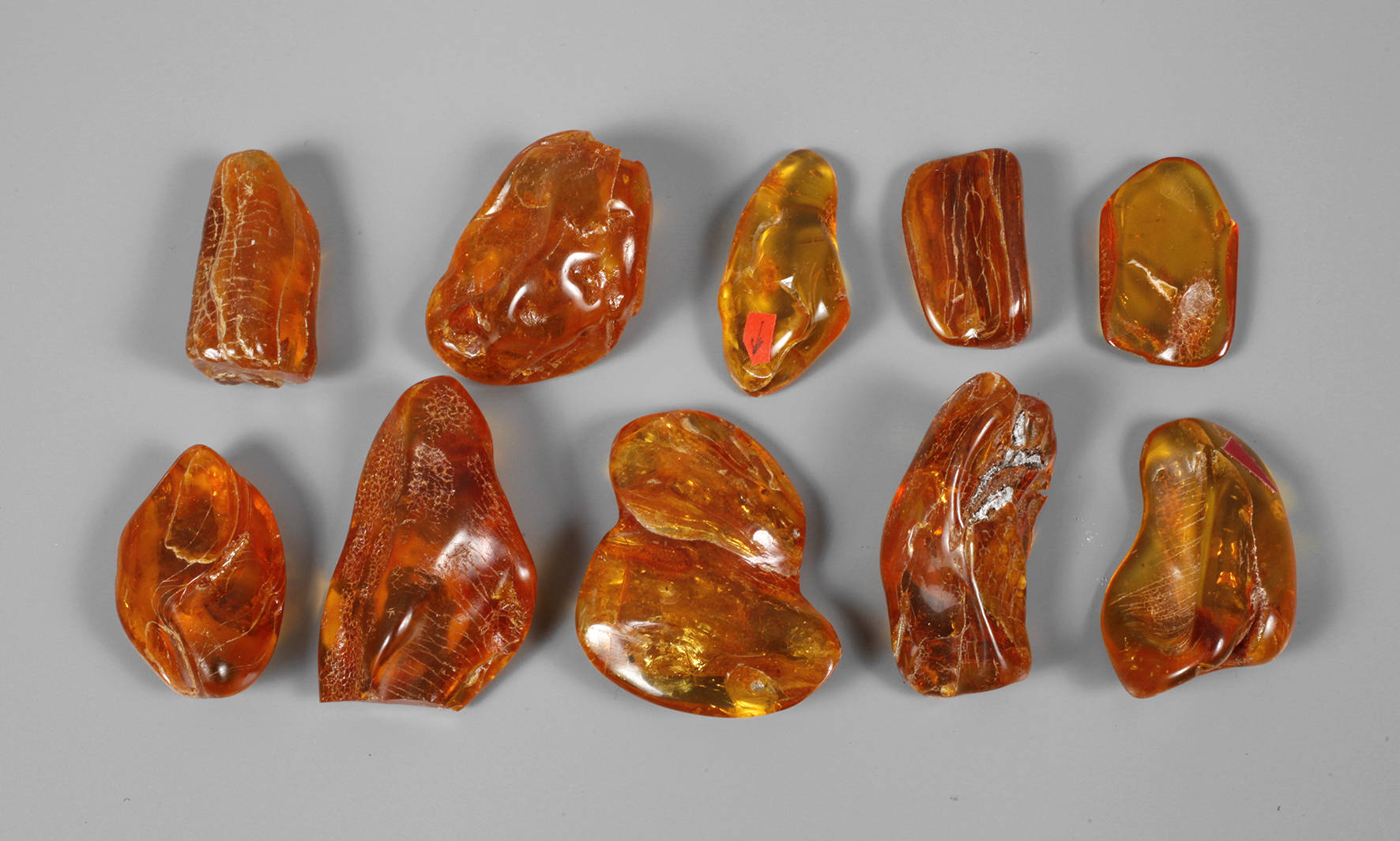 Konvolut Bernsteine mit Insekteneinschlüssen