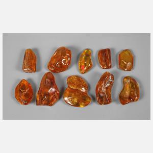 Konvolut Bernsteine mit Insekteneinschlüssen