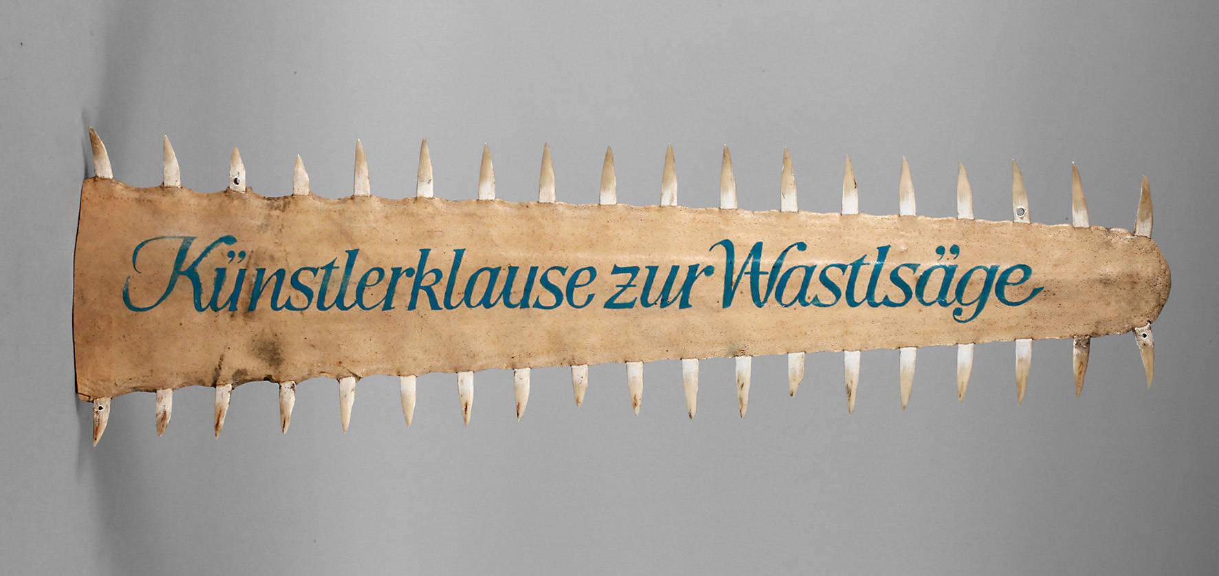 Rostrum eines Sägefisches