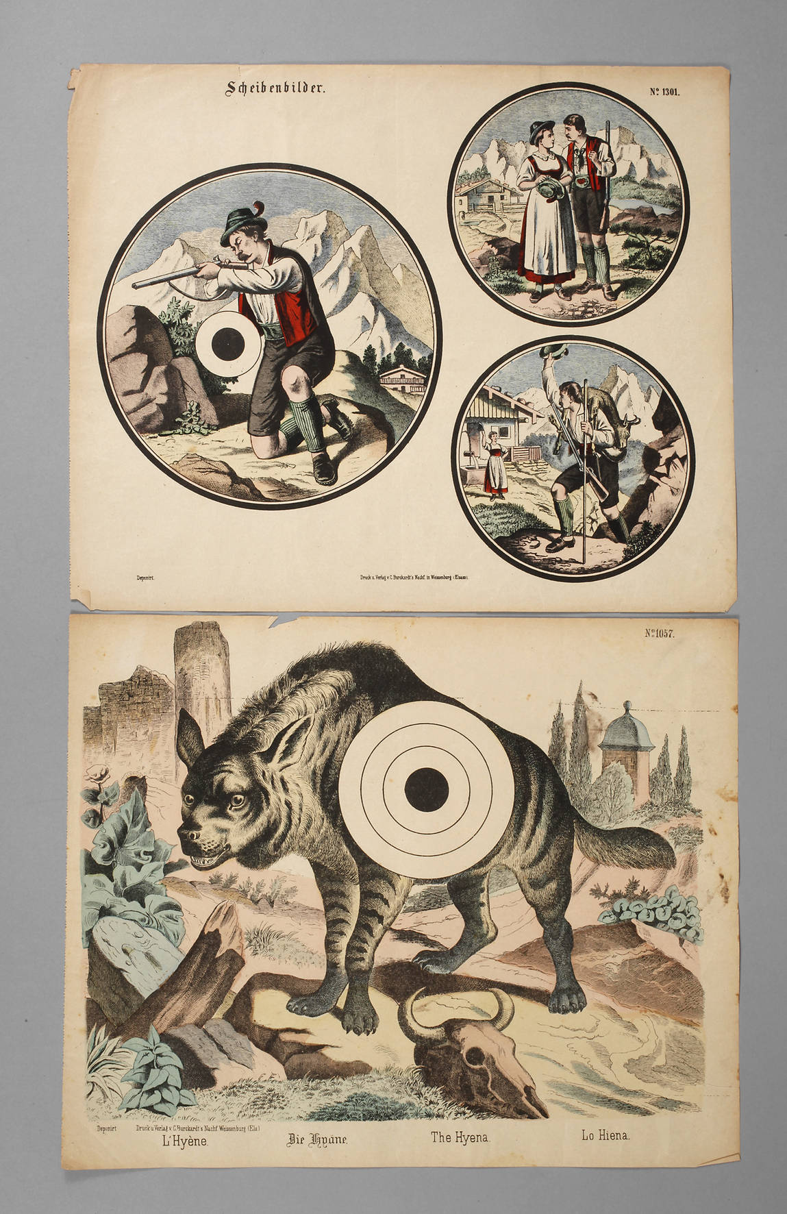 Zwei seltene Schießscheibenblätter