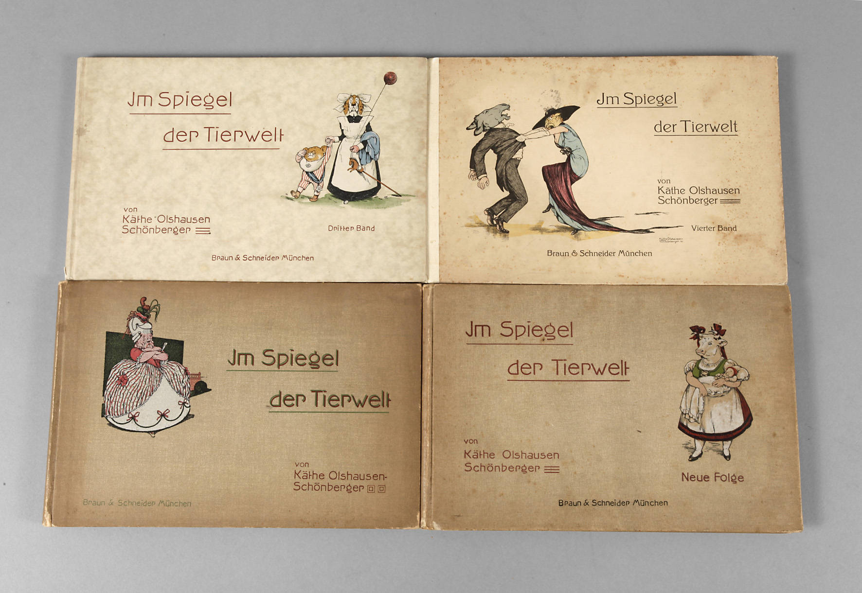 Im Spiegel der Tierwelt