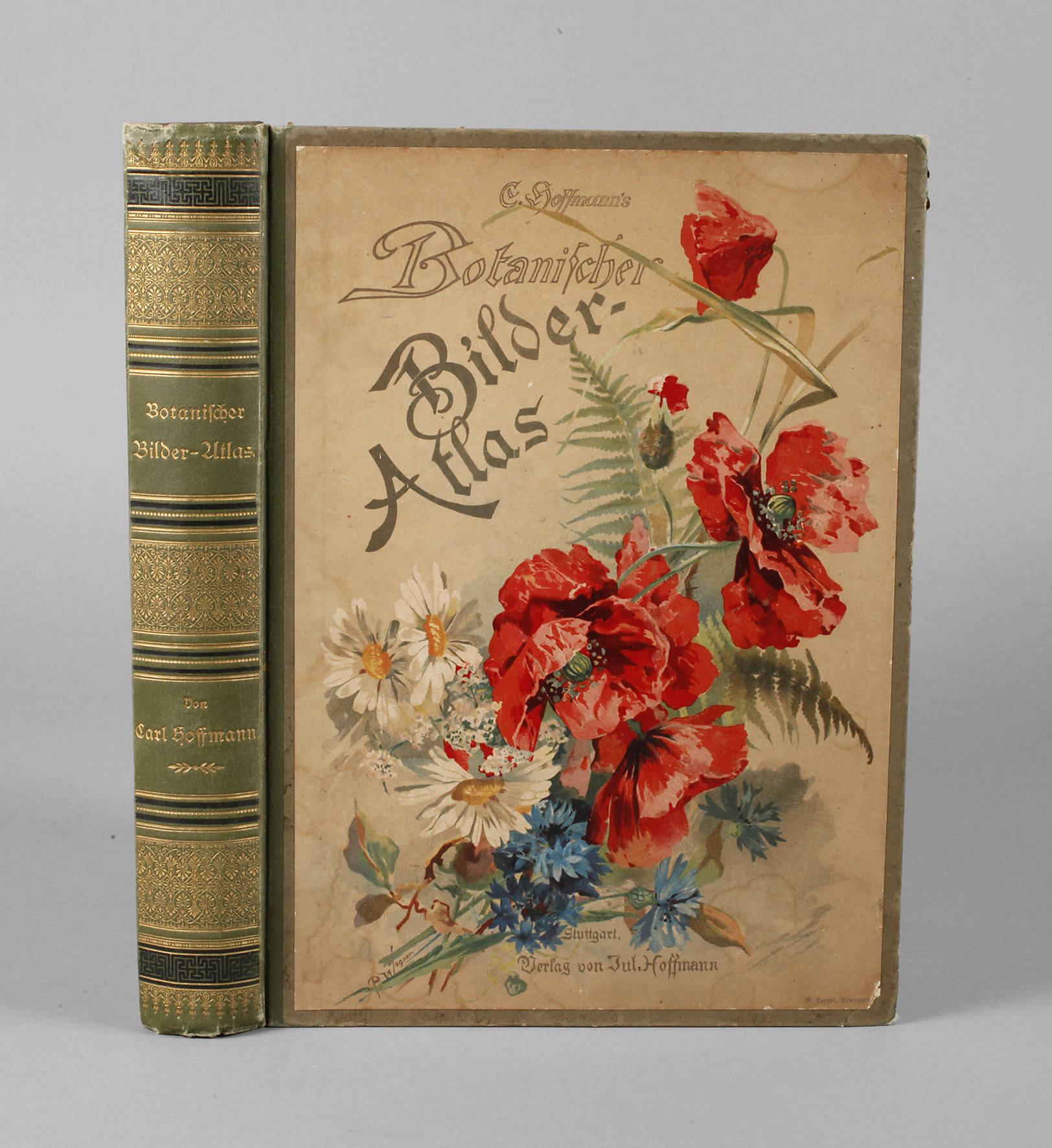 Carl Hoffmanns Botanischer Bilder-Atlas