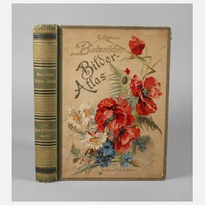 Carl Hoffmanns Botanischer Bilder-Atlas