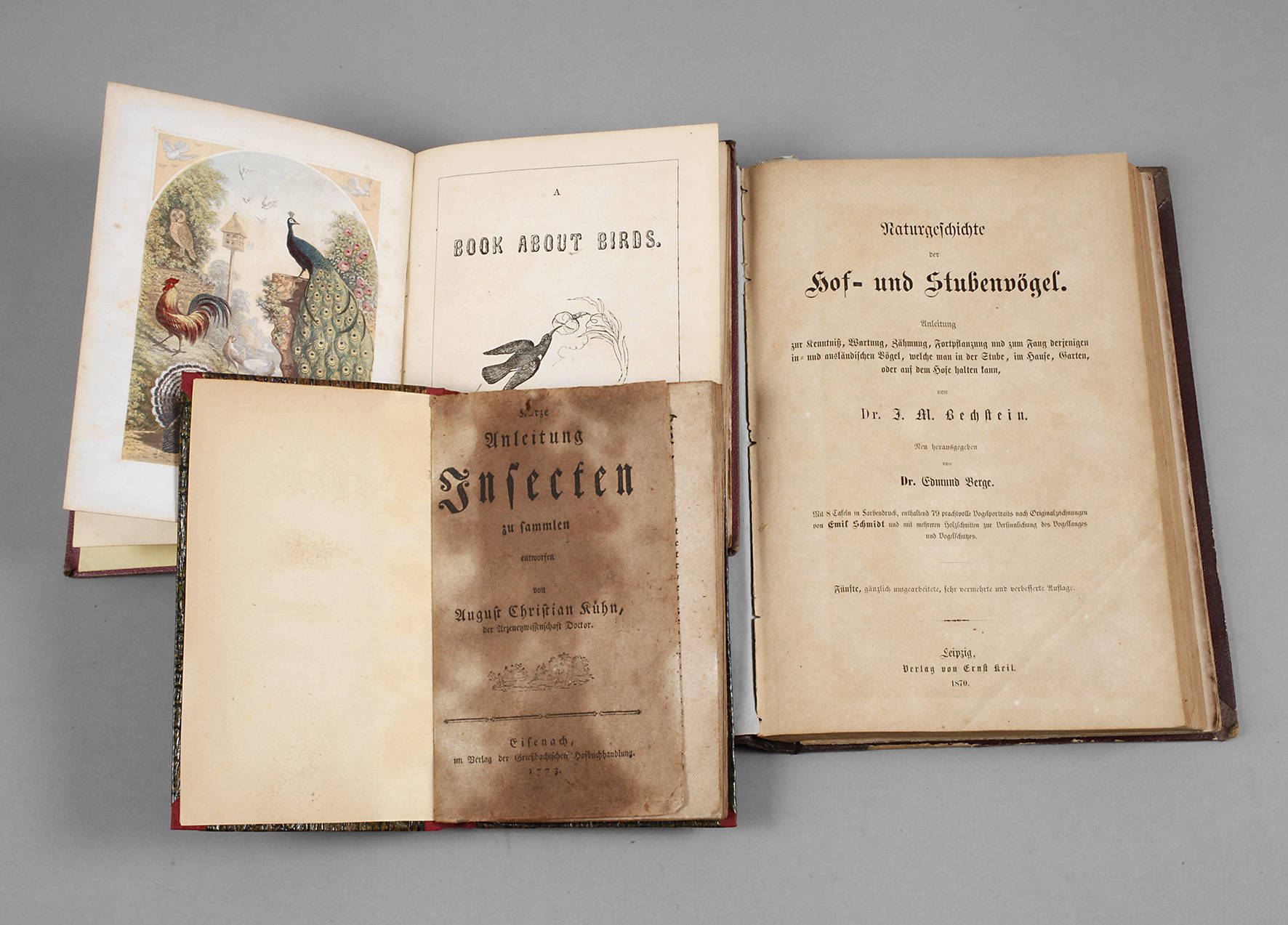 Konvolut Fachbücher Naturkunde