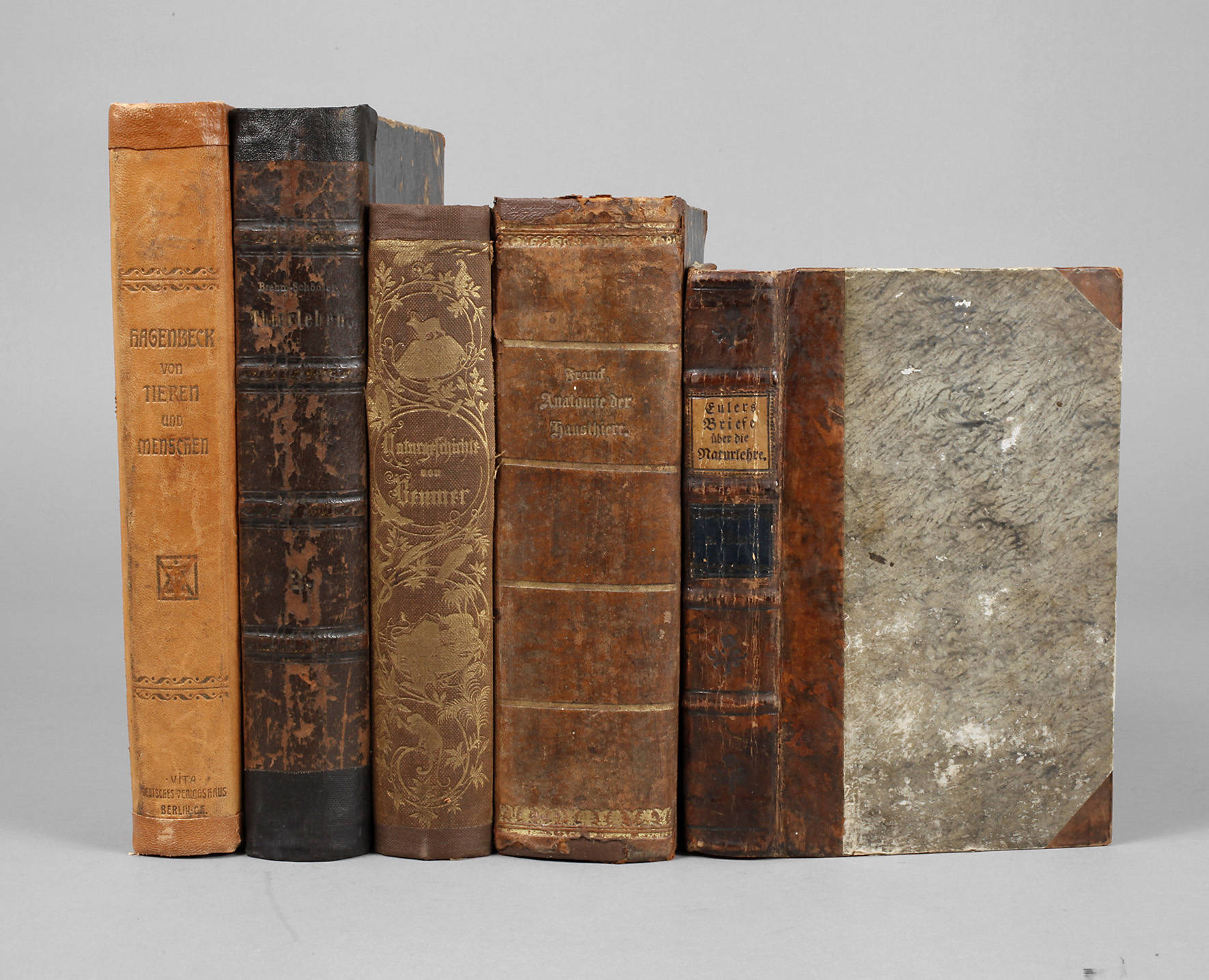 Konvolut Fachliteratur Naturlehre