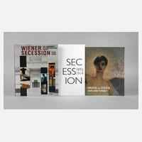 Konvolut Fachliteratur Sezession111