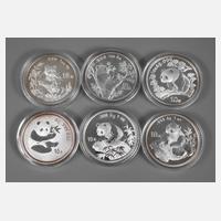 Sechs Silbermünzen China111