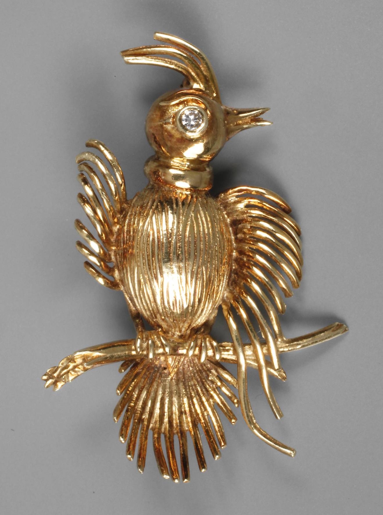 Brosche als Paradiesvogel