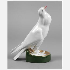 Meissen ”Weiße Trommeltaube”