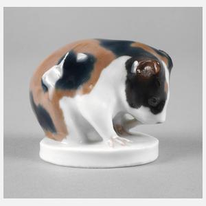 Meissen Hamster