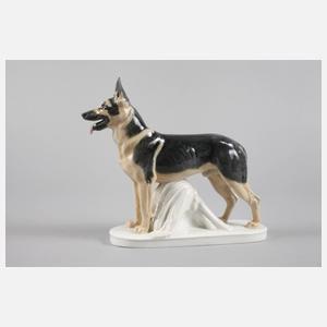 Meissen Schäferhund