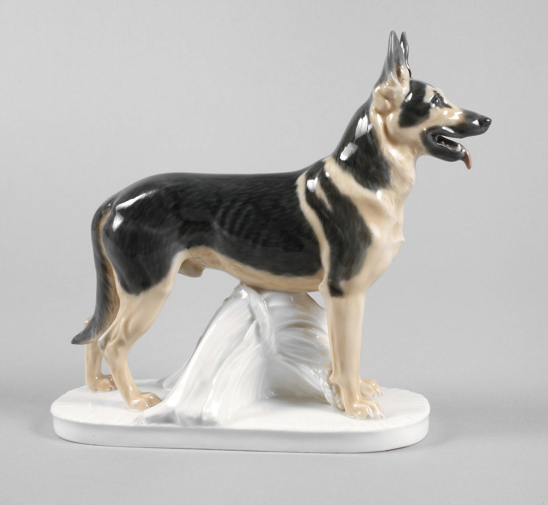 Meissen Schäferhund