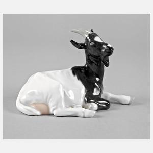 Meissen Ziege