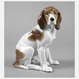 Volkstedt sitzender Jagdhund