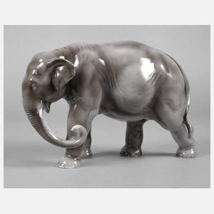 Fraureuth schreitender Elefant