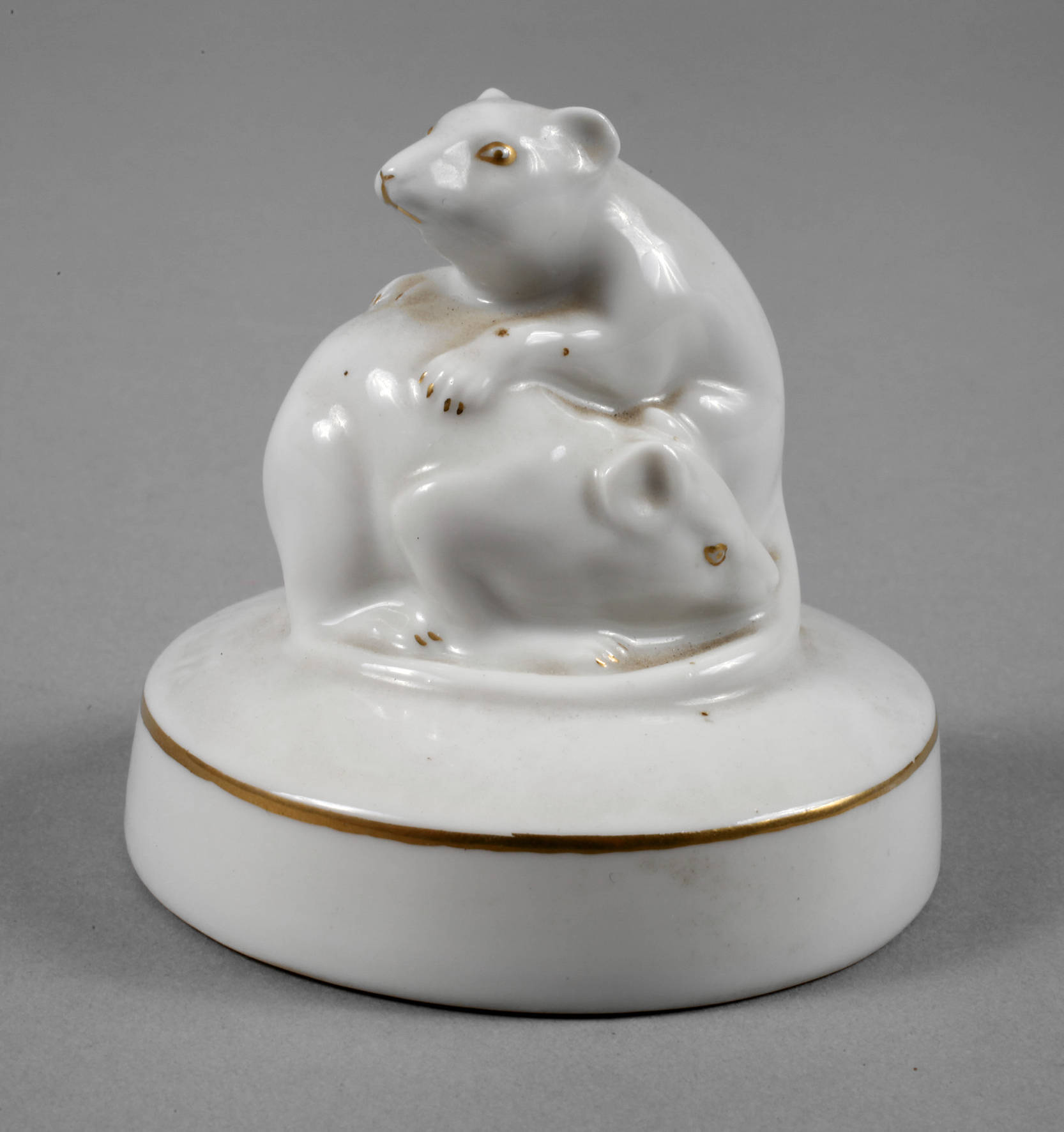 Fraureuth Mäusepaar