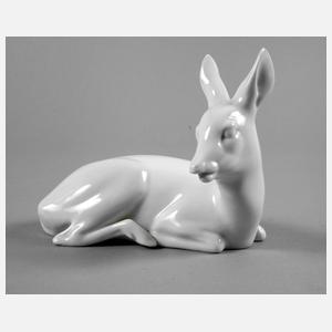 Heubach liegendes Reh