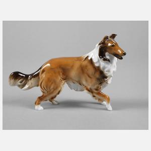 Hutschenreuther Collie