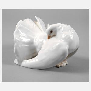 KPM Berlin Turteltaube