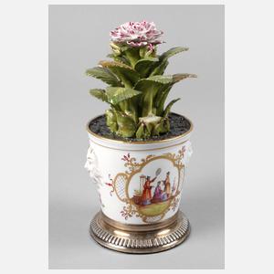 Meissen Blumentopf
