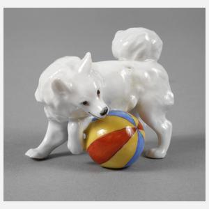 Meissen kleiner Spitz mit Ball