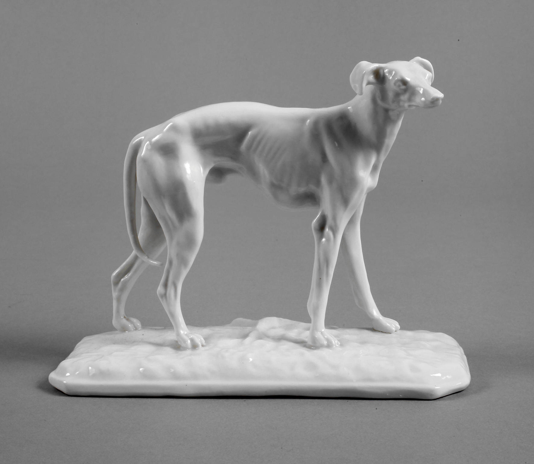 Nymphenburg Jagdhund