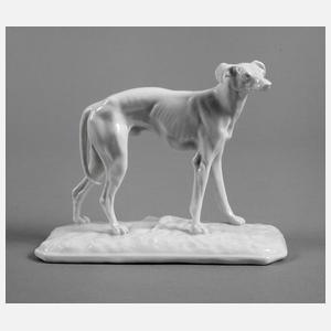 Nymphenburg Jagdhund