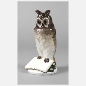 Nymphenburg Büchereule