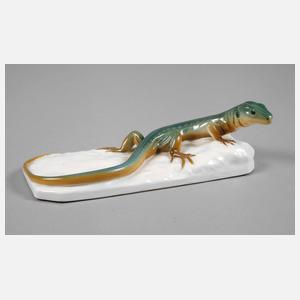 Nymphenburg Eidechse