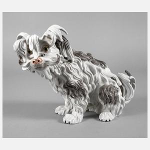 Potschappel Dresden ”Bologneser Hund”