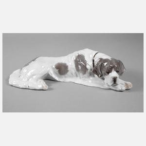 Rosenthal Bernhardiner