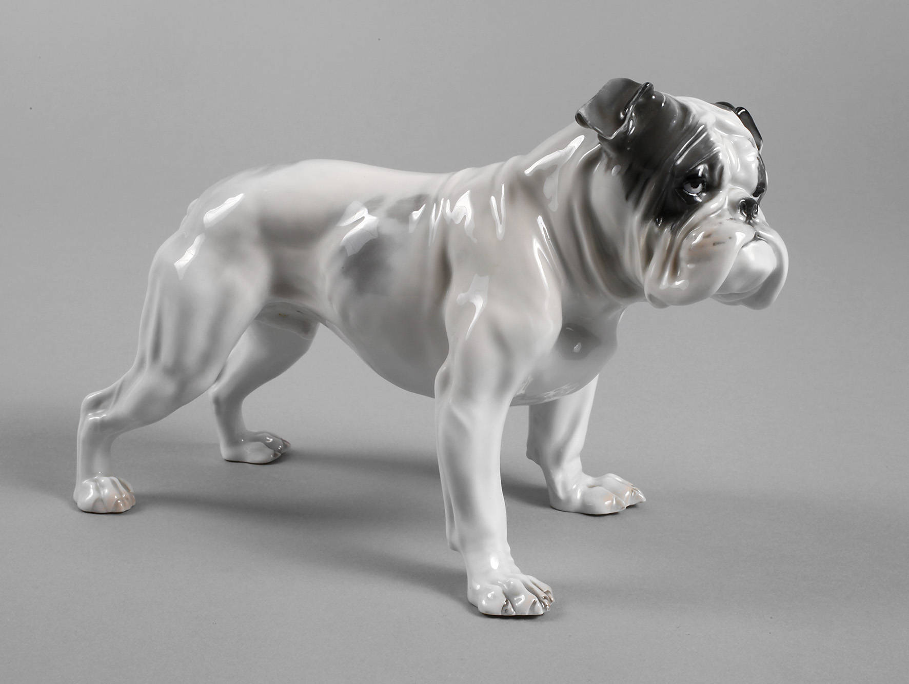 Rosenthal Englische Bulldogge